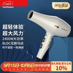 火之凤 吹风机6200H 家用大功率2400W冷热风理发店专用大风力速干低噪音恒温护发不伤发电吹风筒中秋礼物