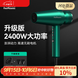 火之凤 吹风机M2Plus高速风筒2400W负离子发廊专用吹风机静音不伤发中秋礼物礼品 M2Plus极光绿