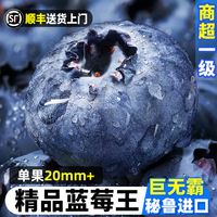 百亿补贴：沃耶 秘鲁进口蓝莓 20-22mm 特大果 孕妇整一箱