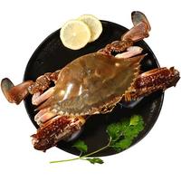 【鲜活】青岛梭子蟹新鲜海捕上岸鲜活大螃蟹飞蟹母蟹生鲜蟹类 【鲜活发】精品梭子蟹2斤5-8只