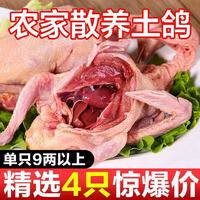 百亿补贴：集鲜源 土鸽9两特大乳鸽鸽子带爪孕妇滋补净重不含冰
