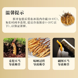 山威 冬虫夏草1g 断草冻干高洁净虫草 高海拔自用实惠 （5-7条1克）