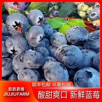 百亿补贴：玖玖农场 正宗秘鲁蓝莓当季新鲜水果蓝莓甜超大果一整箱6盒