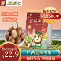 夏果佳仁夏威夷果 奶油味 原味坚果零食 夏威夷果【中果】500g奶香味