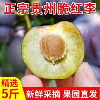 贵州高山脆红酥李空心李子非南方脱骨李子新鲜水果现摘整箱