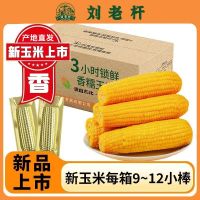 刘老杆 东北原产玉米大棒软糯苞米真空锁鲜整箱