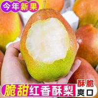 绿熊庄园 正宗运城红香酥梨新鲜水果脆甜皮薄批发超甜红酥整箱