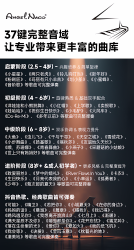 AngelNaco 儿童钢琴玩具电子琴儿童初学宝宝迷你小钢琴乐器送