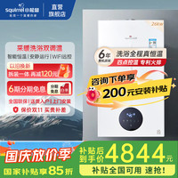 小松鼠 squirrel 燃气壁挂炉恒温板换式地暖生活水两用壁挂炉天然气地暖暖气片供暖app远程操控Q3D系列