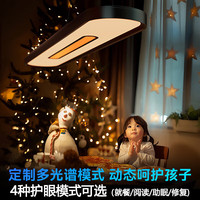 天空见 Under Sky KN-0250 吊灯 60W 金黄光