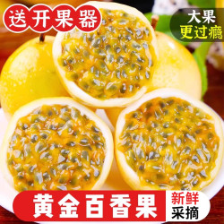 农锦鲜 广西 玉林市 钦蜜9号黄金百香果 9斤 A+级