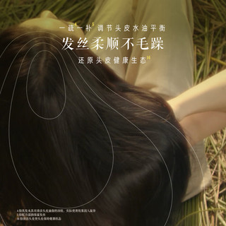 发之食谱 Hair Recipe梨谱润泽柔滑洗发水530ml*2去屑洗发露发丝柔顺男女士