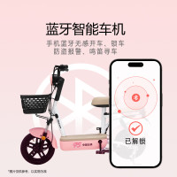 移动端、京东百亿补贴：飞鸽 E75智能电动自行车45公里长续航电动车铅酸电池48V12Ah