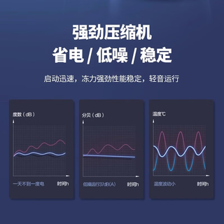 志高 108D 一级能效节能静音 108升双门冰箱