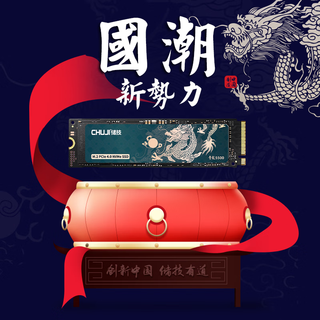  CHUJI/储技 5200MB/S 固态硬盘