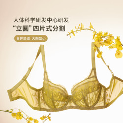Wacoal 华歌尔 女士蕾丝包容稳定内衣 WB8573