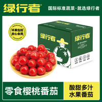 绿行者 GREER 樱桃番茄 458g *4盒