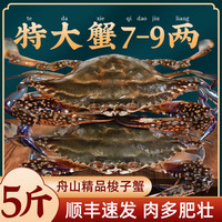 鲜喜利 梭子蟹鲜活特大野生舟山大螃蟹海鲜新鲜冷冻海蟹水产飞蟹白蟹