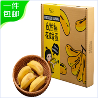 京鲜生自然熟粉蕉2斤约4-7根 生鲜水果礼盒 源头直发