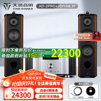 天逸 TONEWINNER Winner）AD-2PRO+高保真发烧HIFI 2.0声道大功率 套餐12：搭配惠威DIVA8.3F