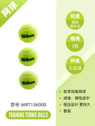 Wilson 威尔胜 训练用球 WRT131100 1360*3颗散装