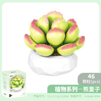 移动端：潘洛斯 PANLOS BRICKS 655056-65 熊童子 多肉盆栽拼插积木