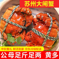 【活蟹】神行大闸蟹全母蟹鲜活去绳足重螃蟹生鲜河蟹中秋礼盒 公4.0两母3.0两5对10只