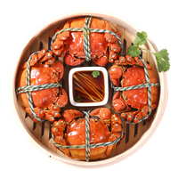 【活蟹】神行大闸蟹全母蟹鲜活去绳足重螃蟹生鲜河蟹中秋礼盒 全母蟹3.3-3.6两 8只装