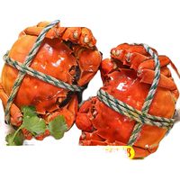 【活蟹】神行大闸蟹全母蟹鲜活去绳足重螃蟹生鲜河蟹中秋礼盒 公3.3两 母2.3两 3对6只