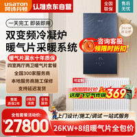 阿诗丹顿 壁挂炉暖气片家用天然气采暖散热