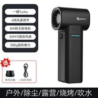 菠萝君 TF40 A1 洗车配件 2000mAh 黑色