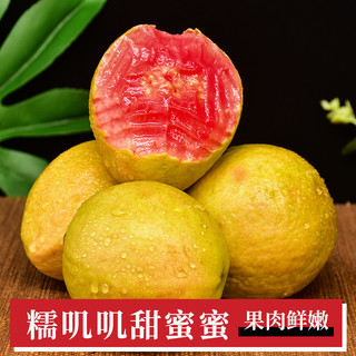 广西软糯红心芭乐5斤新鲜水果番石榴脆甜软糯胭脂红巴乐整箱0