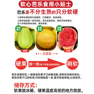 广西软糯红心芭乐5斤新鲜水果番石榴脆甜软糯胭脂红巴乐整箱0