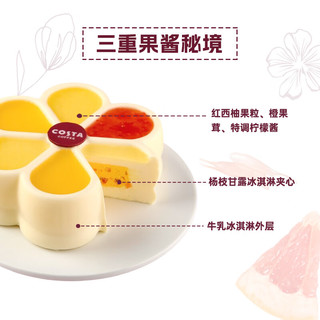  COSTA/咖世家咖啡 多口味 冰淇淋蛋糕 刀叉  550g/6寸 礼盒