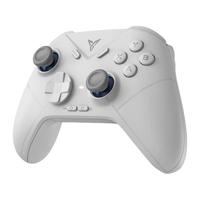 飞智 冰原狼2/冰原狼3 多模版无线手柄DW12C类xbox手柄 支持Switch电脑Steam黑神话悟空游戏手柄