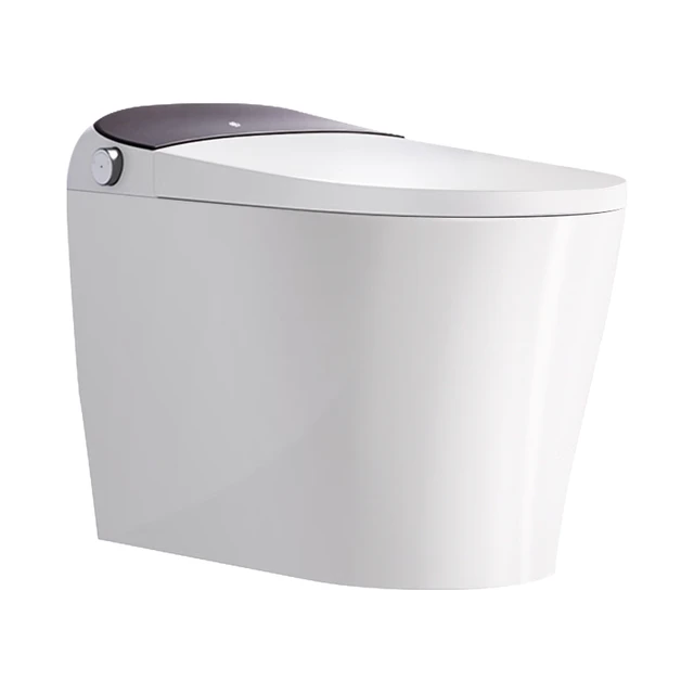 京东京造 黑鲸系列 智能马桶一体机