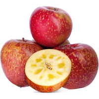 闽域寻鲜  丑苹果 昭通苹果【25年新果】大凉山盐源水果苹果中秋水果 5斤手选装【单果55mm+】净4.5斤