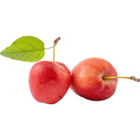 京鲜生 新疆香妃海棠果 中秋礼盒装 净重1.8斤装 单果25g起 源头直发 【紫气东来】1.8斤装 单果25g起