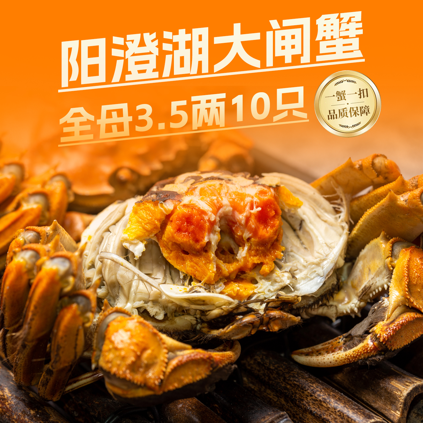 活蟹特大全母阳澄湖大闸蟹3.0两鲜活螃蟹大闸蟹店礼盒装