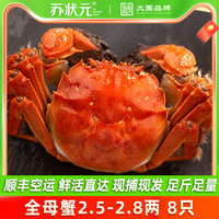 苏状元大闸蟹鲜活螃蟹店全母蟹大闸蟹礼盒毛蟹活螃蟹