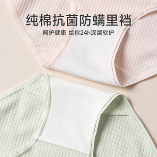 芬腾 7A抗菌纯棉裆 407组合一 2XL 女士内裤 4条装