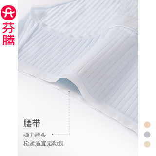 芬腾 女士内裤 纯棉内裆 2XL 4条装