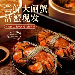 江问鱼 六月黄 鲜活大闸蟹螃蟹全母2.0-2.3两 10只装 源头直发