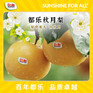 都乐 秋月梨 核心产区直发 脆甜多汁 净重1.6kg 4-7枚 简装