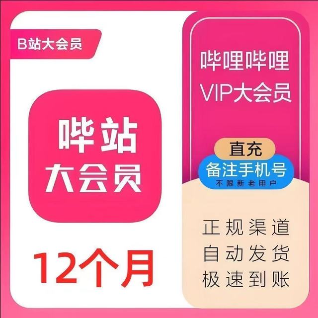 哔哩哔哩 bilibili 大会员vip12个月一年卡