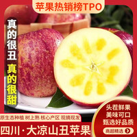 闽农语果大凉山丑苹果应当季新鲜水果四川糖心苹果红富士苹果 9斤【果农款 单果85-90mm】净重8.5斤 【果子表面有斑点属于正常现象】