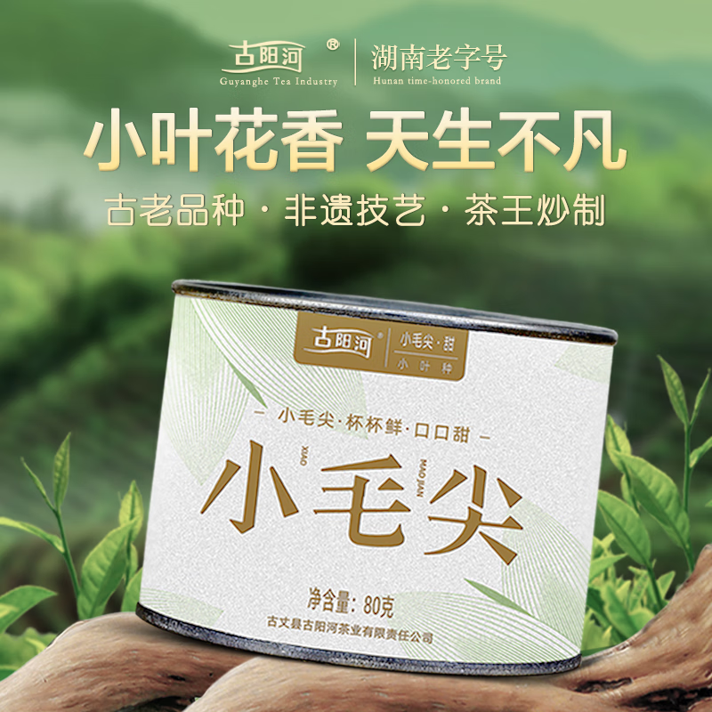 古阳河古丈毛尖【湖南老字号】2025年小毛尖头采嫩花香杯杯鲜口口甜 *1罐