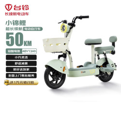 台铃 电动自行车续航50km石墨烯电池48V13AH小锦鲤 碧波绿