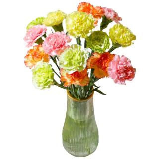 京东鲜花 云南昆明鲜花基地直发15枝混色康乃馨家庭生活插花鲜花源头直发