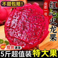 移动端：甘福园 火龙果红心新鲜水果10斤当季整箱海南金都一号红肉蜜燕窝宝麒麟果
